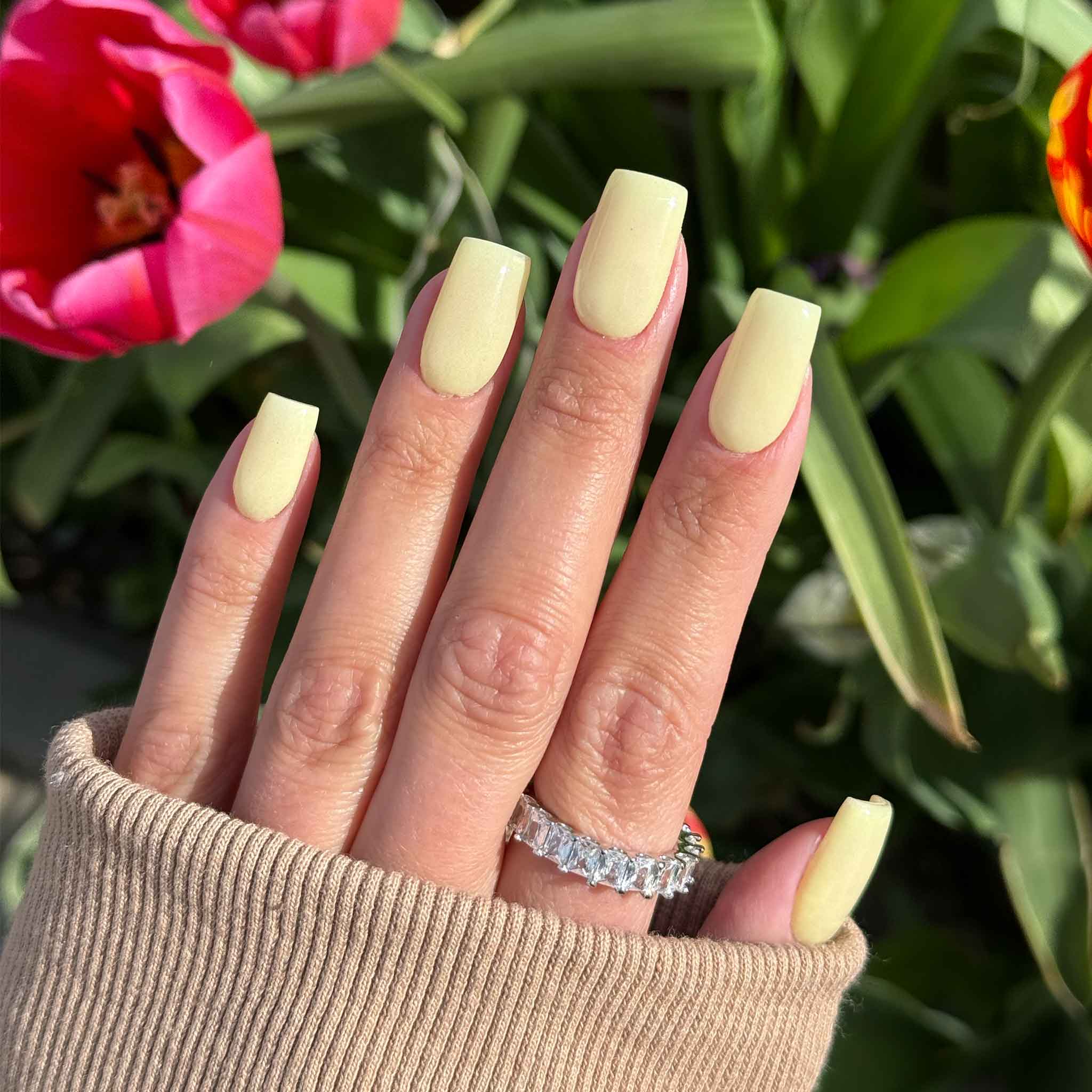 Matte Dip Powder Nails for Summer Vibes