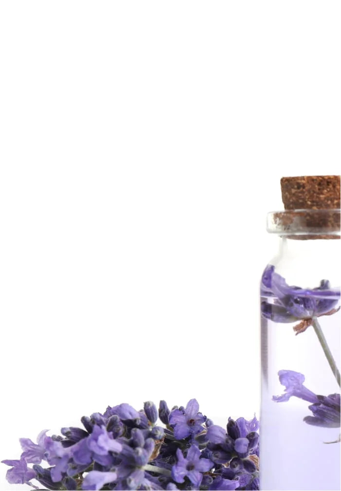 Australian Lavender Oil