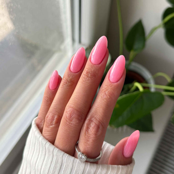 Rosy Compact