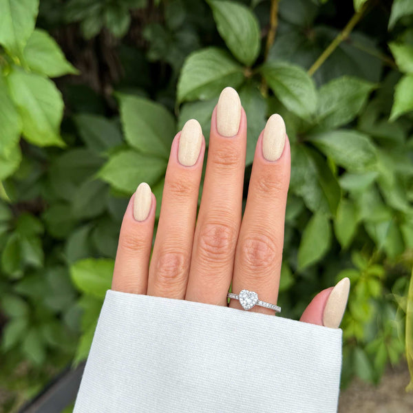 Champagne Ivory
