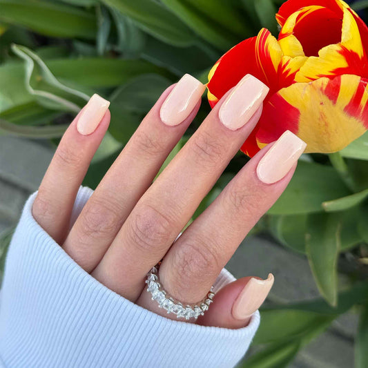 Sorbet