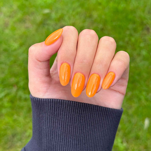 Pumpkin Spice